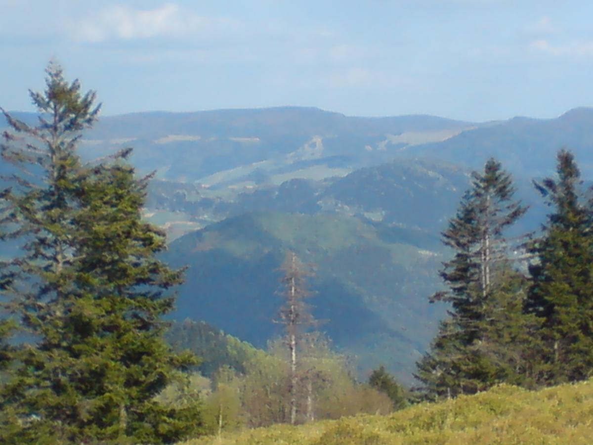 Willa Pod Kasztanami Piwniczna-Zdroj Exterior foto